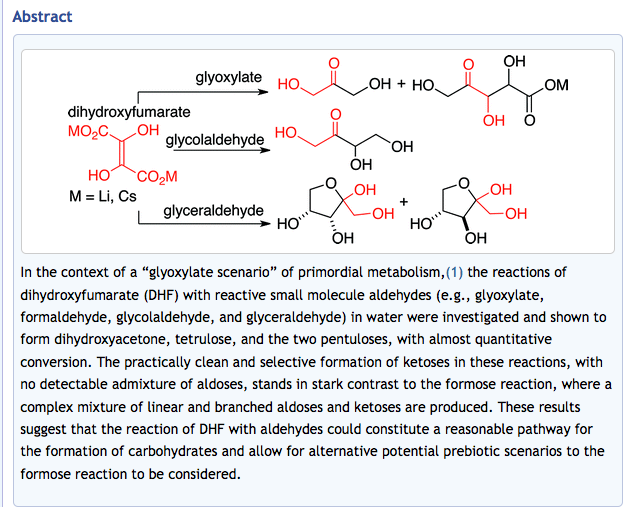 DHF-glyoxylate